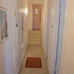 Baco * Σπλιτ